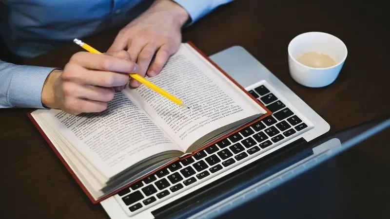 Transition Words Expository Essay