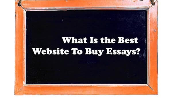 Best Website To Buy Essays